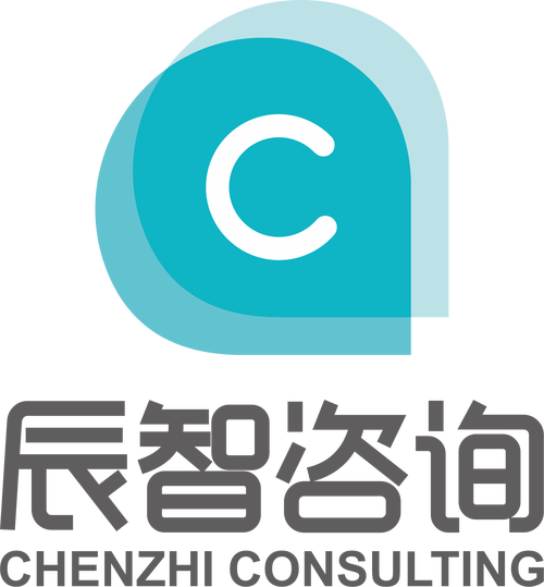 上海辰智商务信息咨询公司信息咨询服务解析